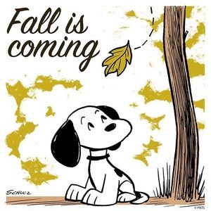 Meet your Posher, Ruth